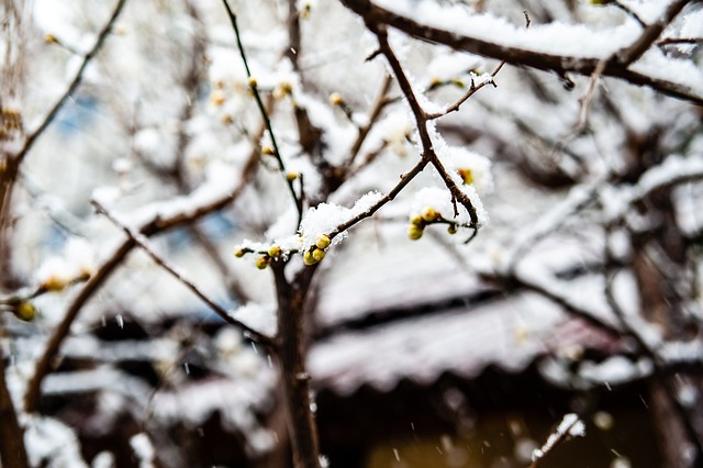 领奖台