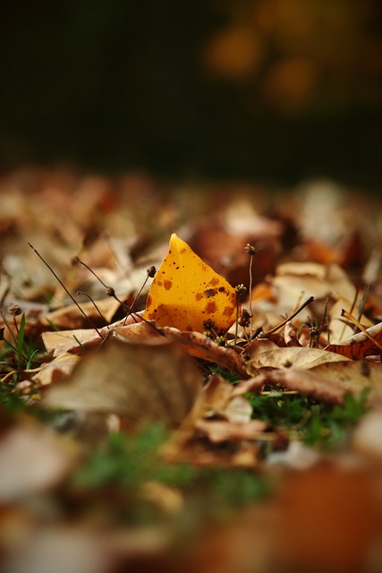 通过对生态 通过对生态