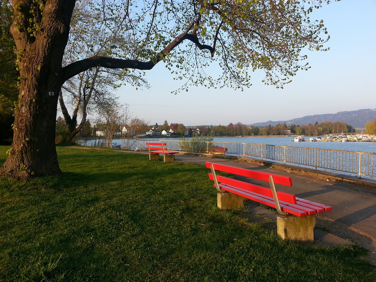 可以在很大 可以在很大