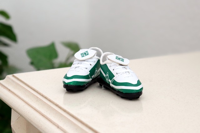 穩定的組織 穩定的組織