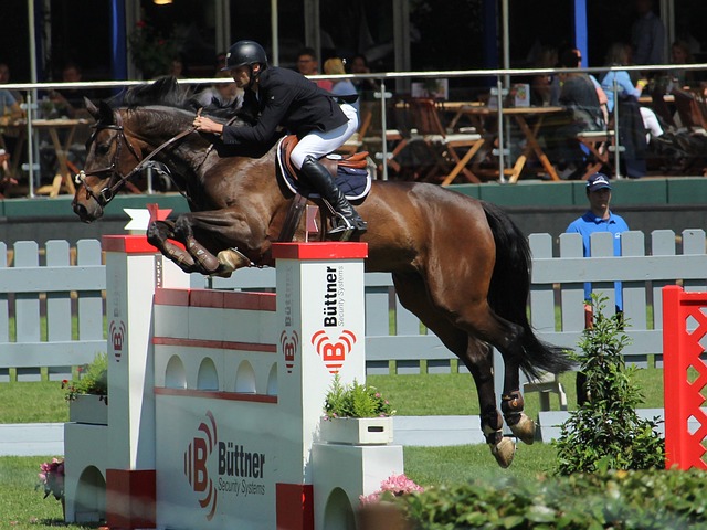 了对足球基 了对足球基